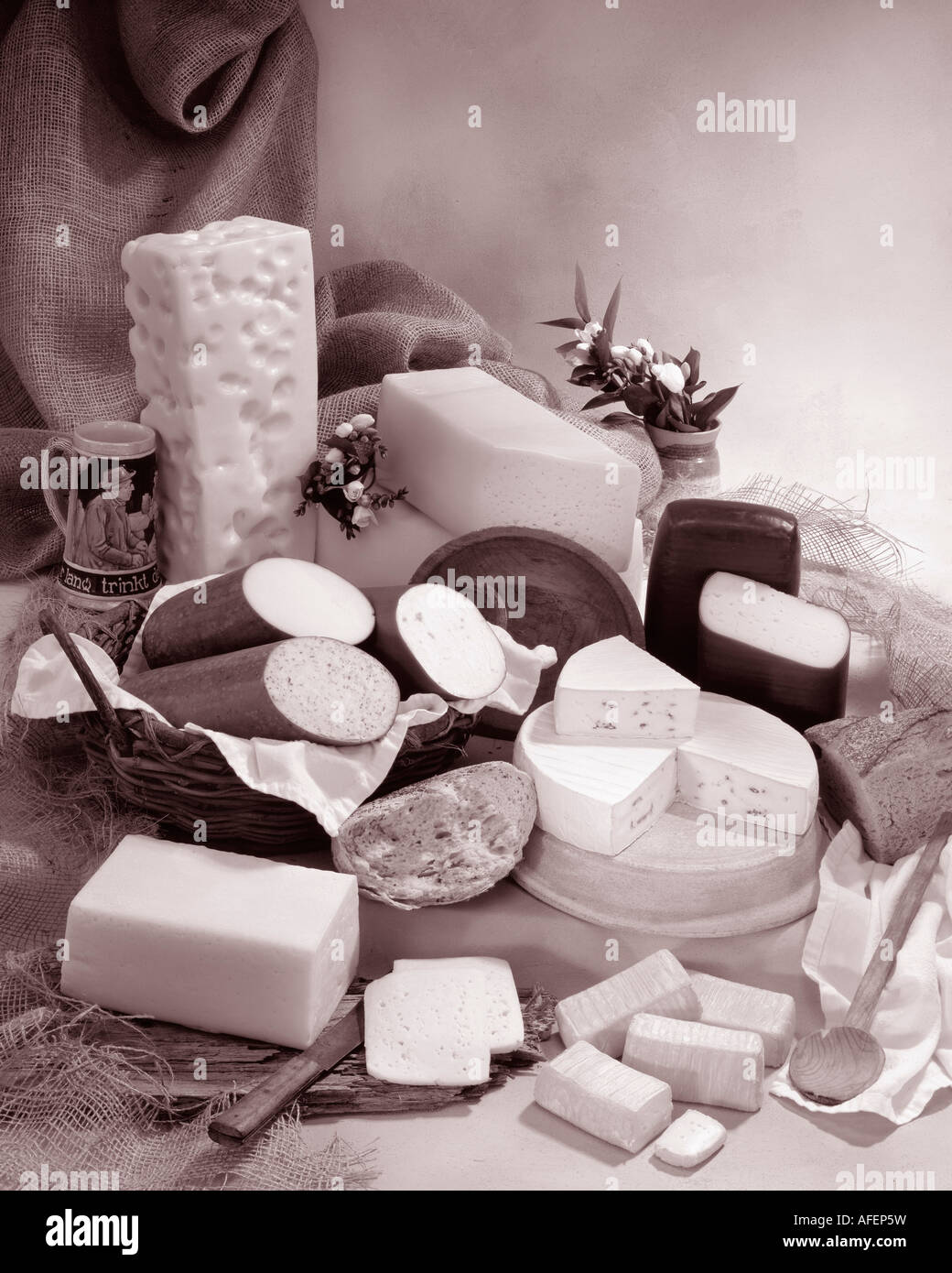 Deutschen Käse in Sepia von Gruppenfoto auf Warm getönten gesprenkelte Hintergrund. Hochformat, Studio Tischplatte. Klassisches Bild. Stockfoto