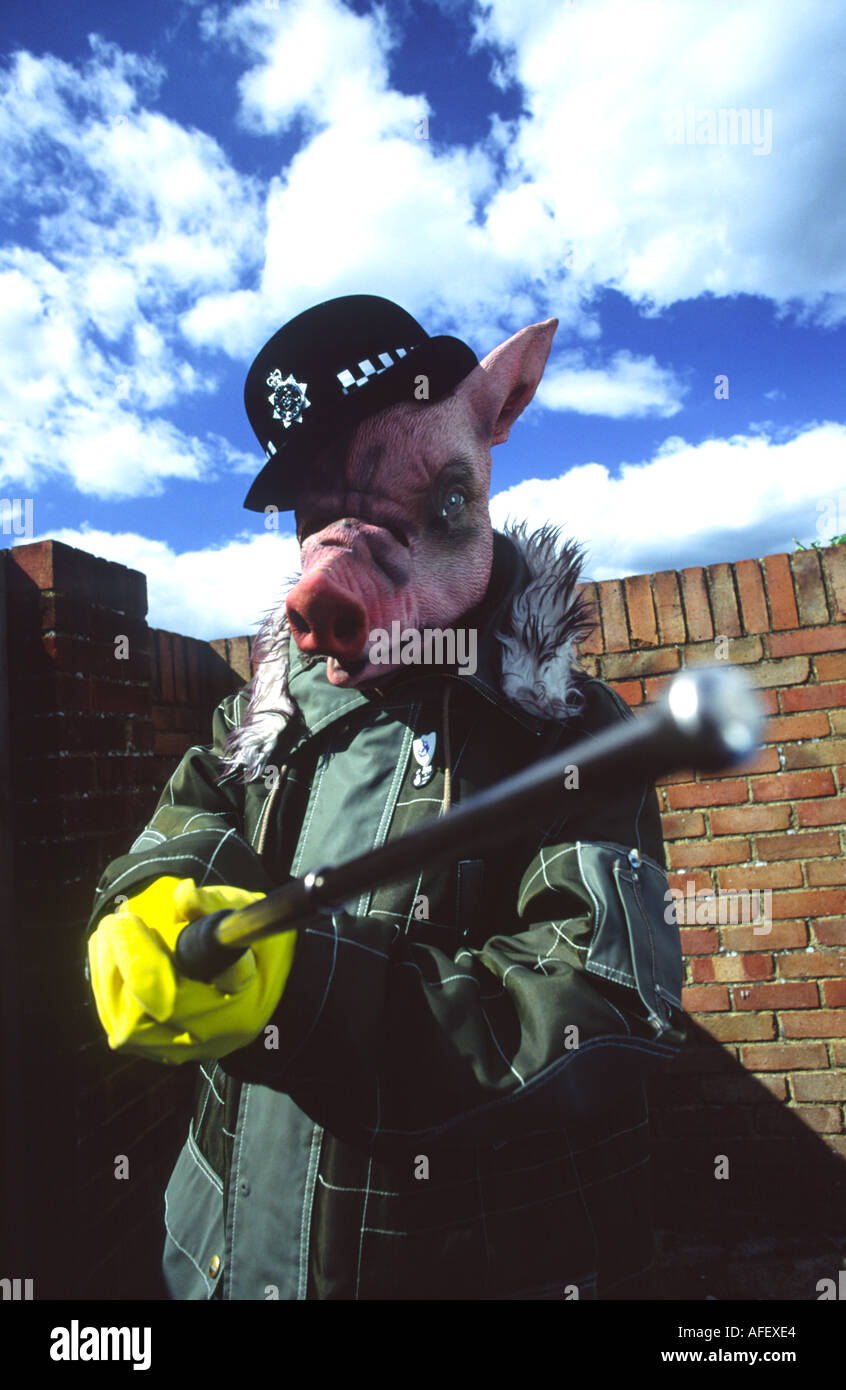 Schwein in Polizei Hut schlägt zurück Stockfoto