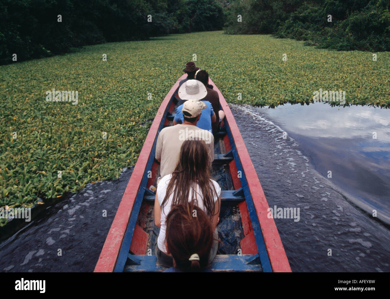 Bootsfahrt - Amazonasbecken, Beni, Bolivien Stockfoto