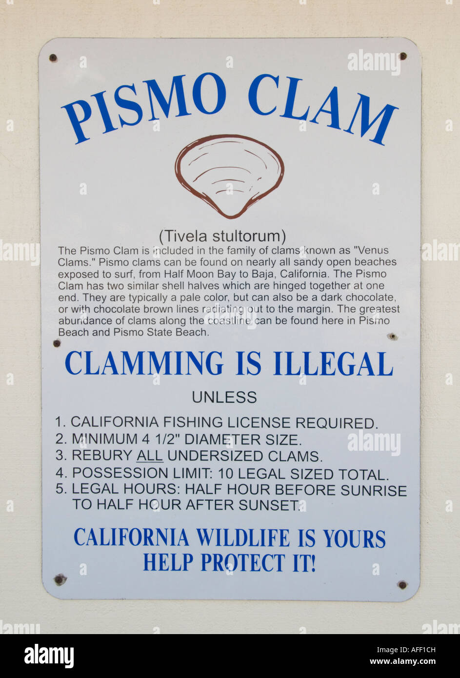 California Central Coast Pismo Beach Muschel Warnschild Stockfoto