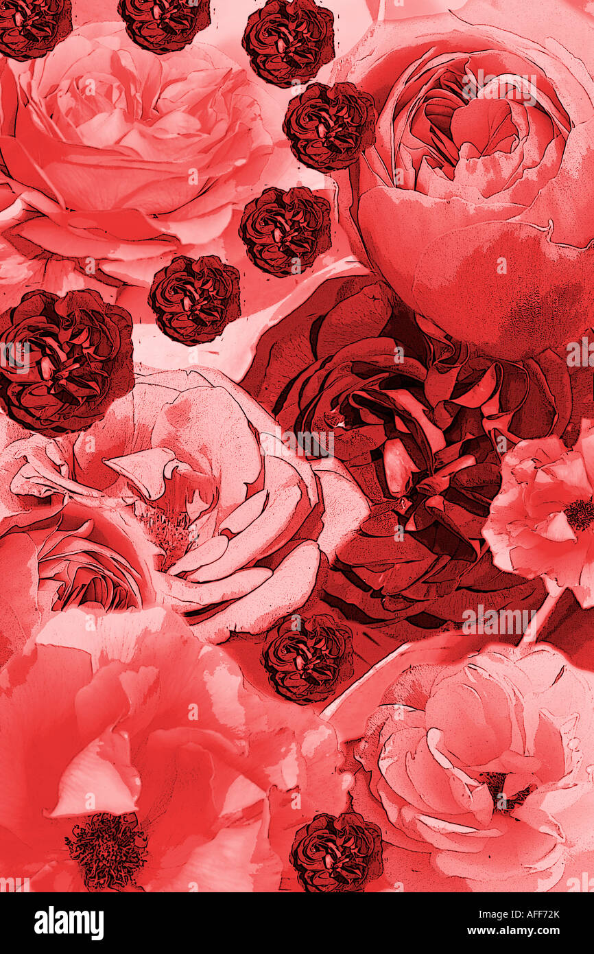 Florale illustration Stockfoto