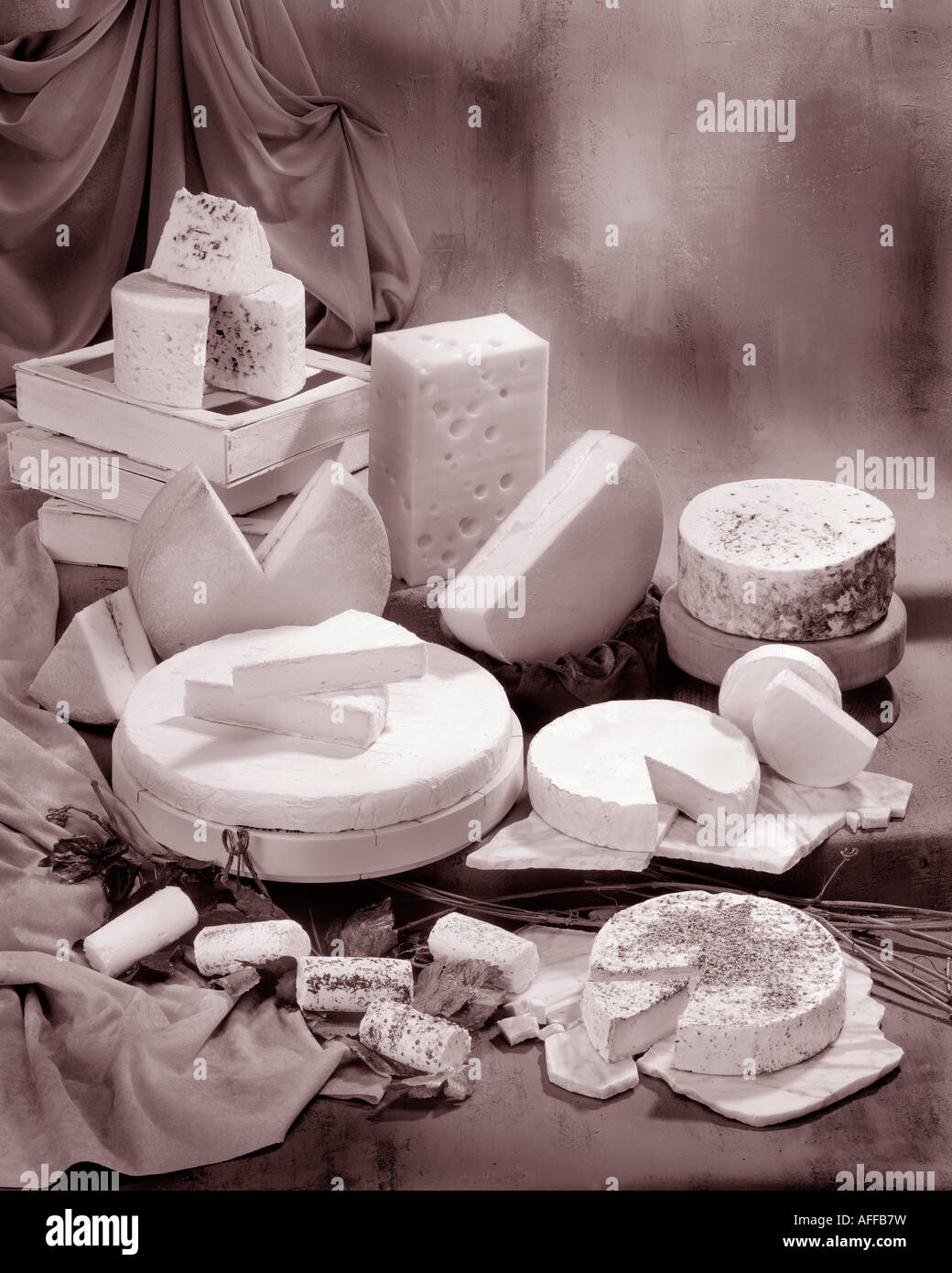 Französische Käse in Sepia von Gruppenfoto auf Warm getönten gesprenkelte Hintergrund. Hochformat, Studio Tischplatte. Klassisches Bild. Stockfoto