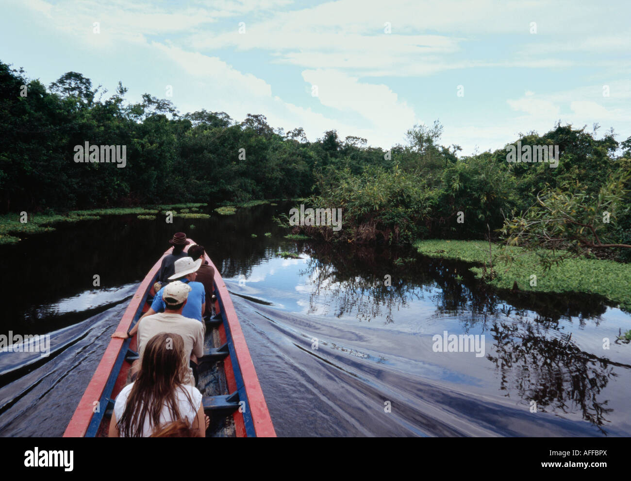 Bootsfahrt - Amazonasbecken, Beni, Bolivien Stockfoto