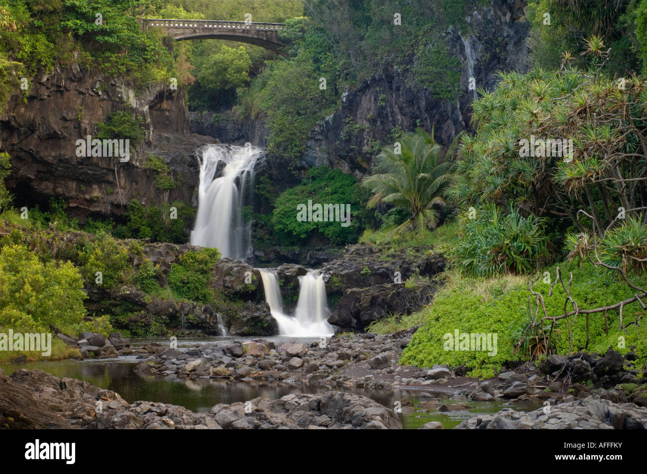 Wasserfälle und Brücke an Oheo Pools Kipahulu Bezirk Haleakala National Park Maui Hawaii Stockfoto
