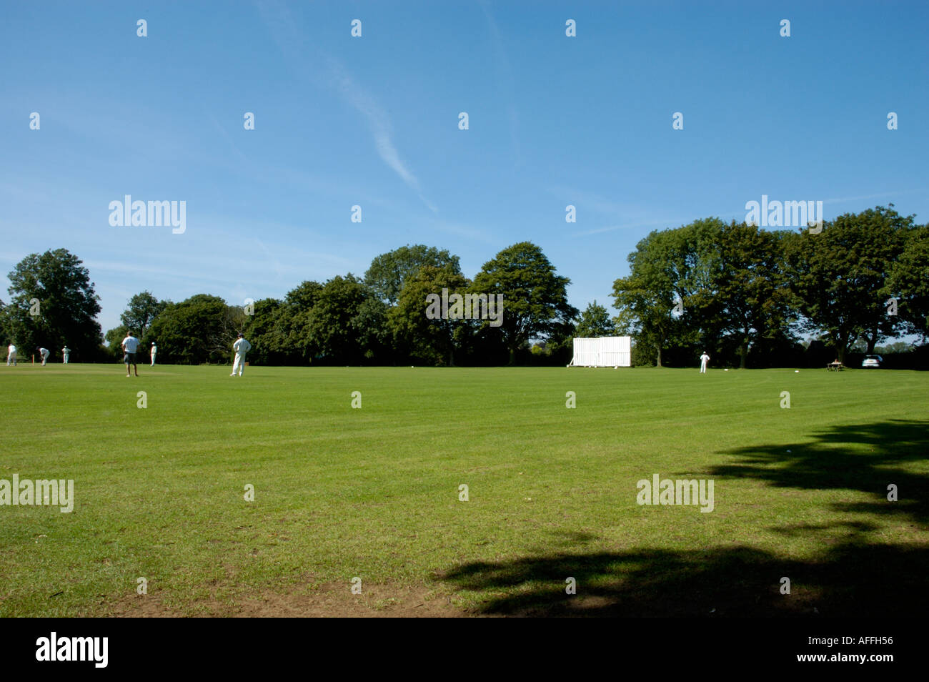 Dorf-cricket Stockfoto