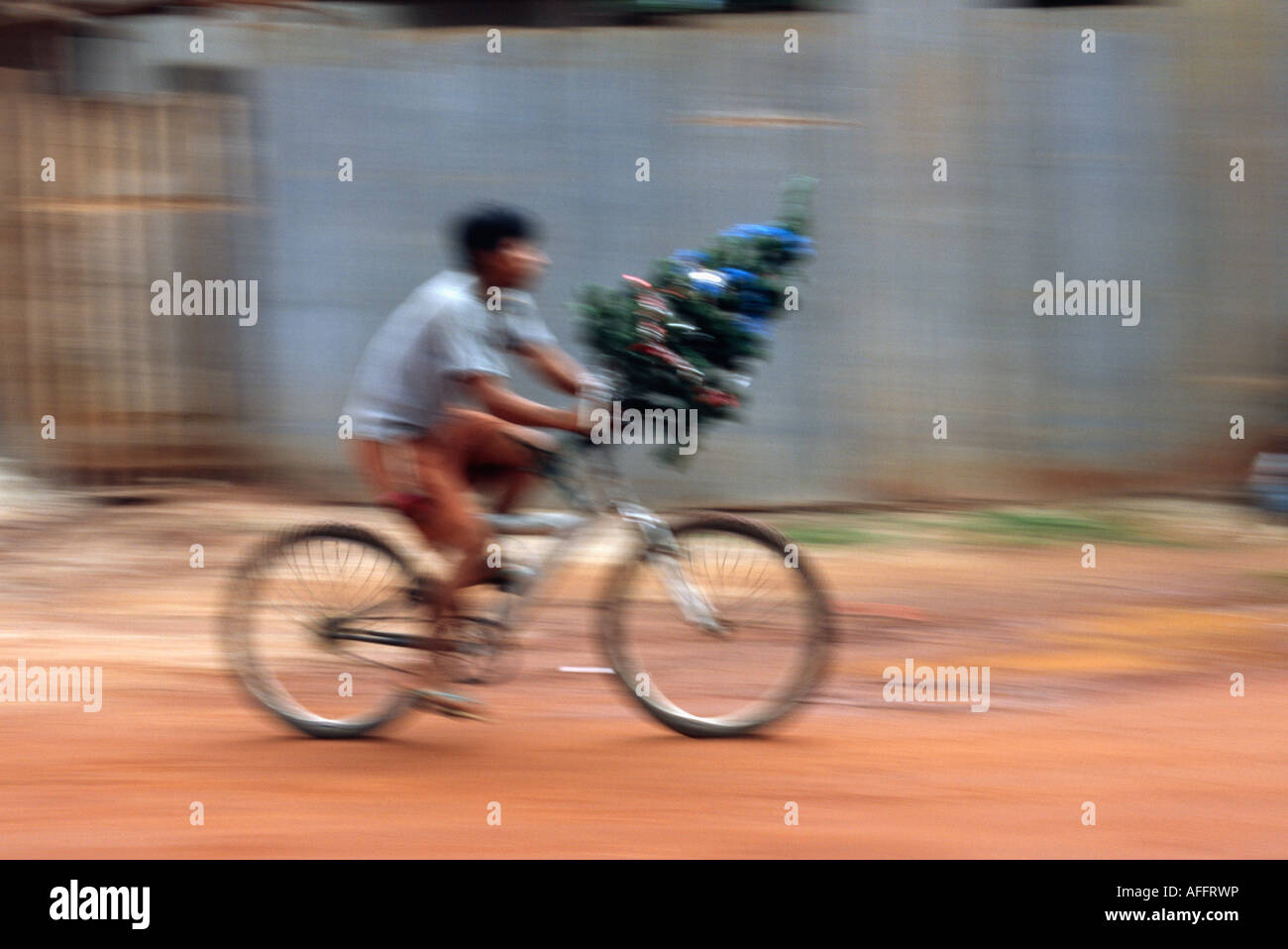 Tropische Weihnachten - San Ignacio de Velasco, Santa Cruz, Bolivien Stockfoto