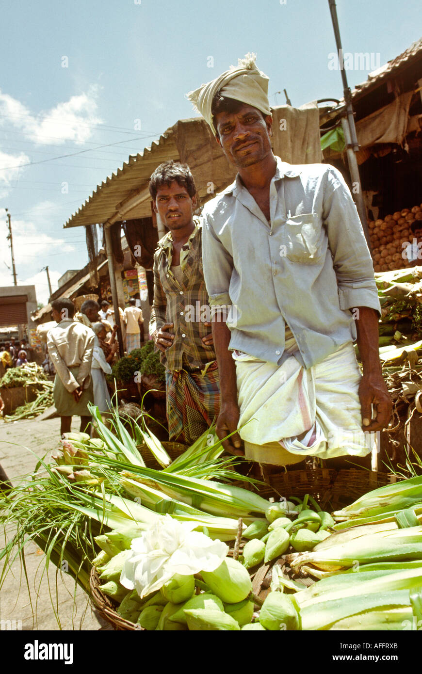 Indien Karnataka Mysore Devarjala Markt Seerose Verkäufer Stockfoto