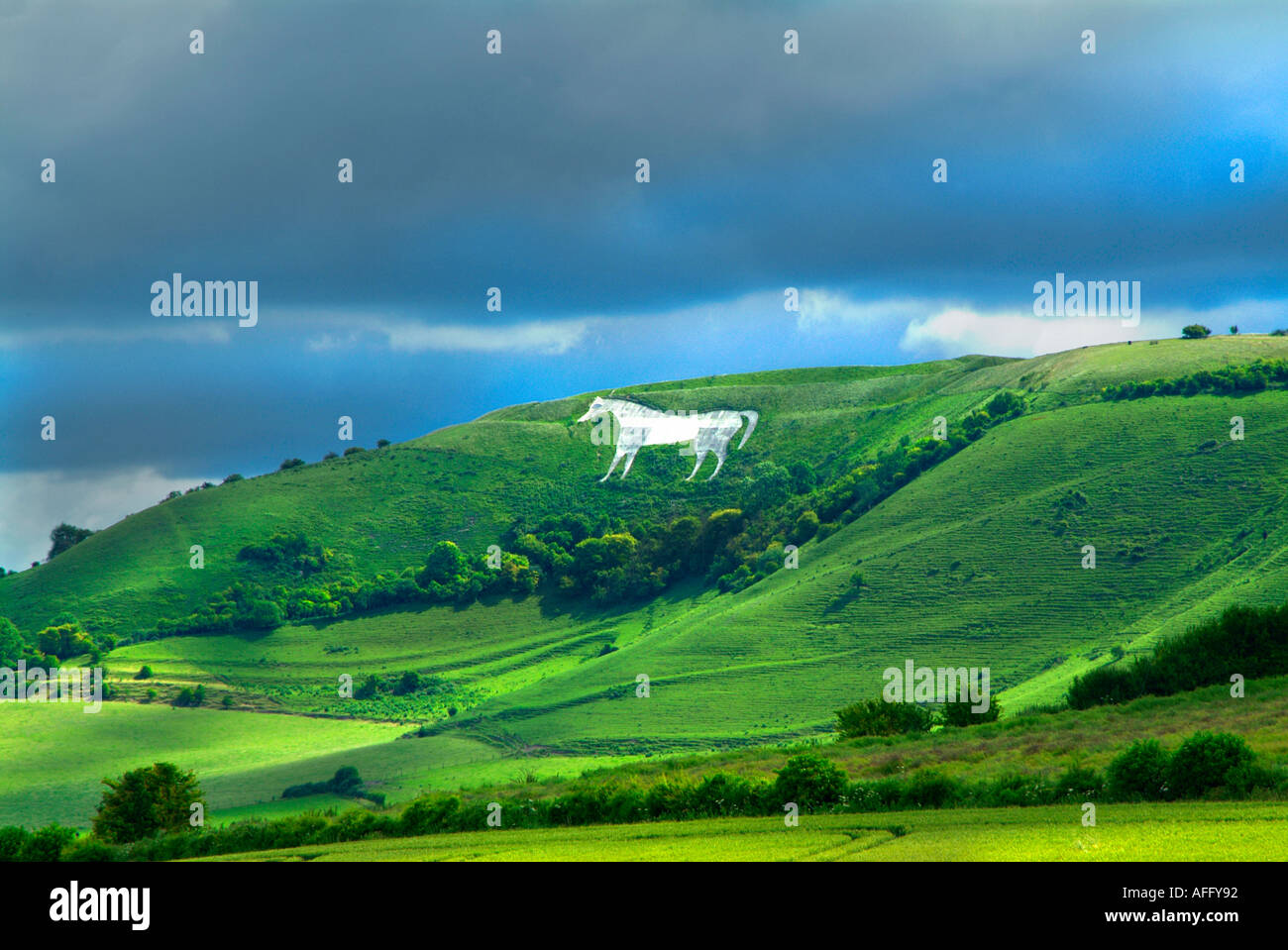 Weißes Pferd Bratton camp Westbury Wiltshire England UK United Kingdom GB Großbritannien EU Europäische Union Europa Stockfoto