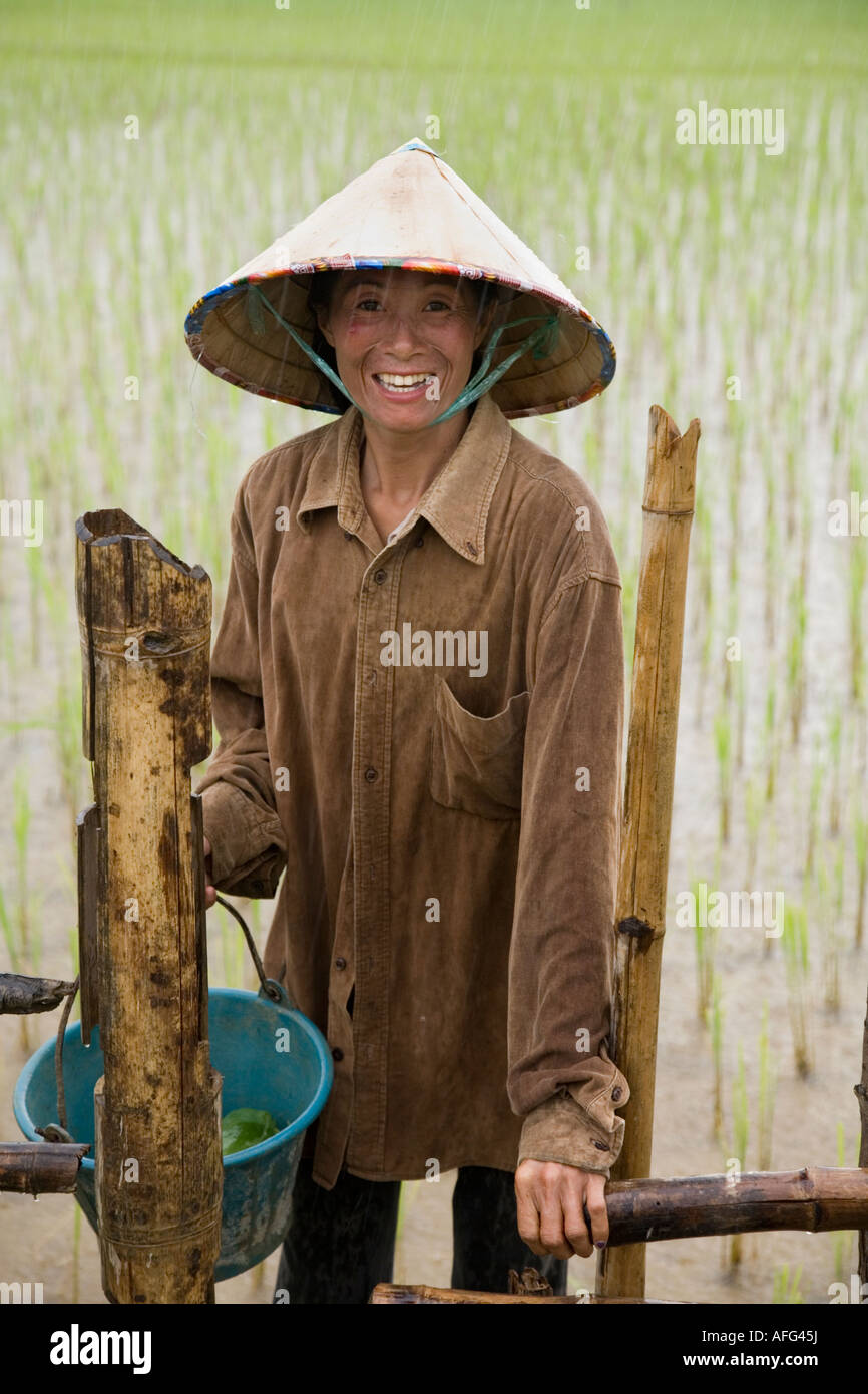 Arbeiter / Bauern in einem Reisfeld Feld in der Nähe von Ban Na Thong Dorf Vang Vieng, Laos. Bei sehr starkem Regen Sturm. Stockfoto