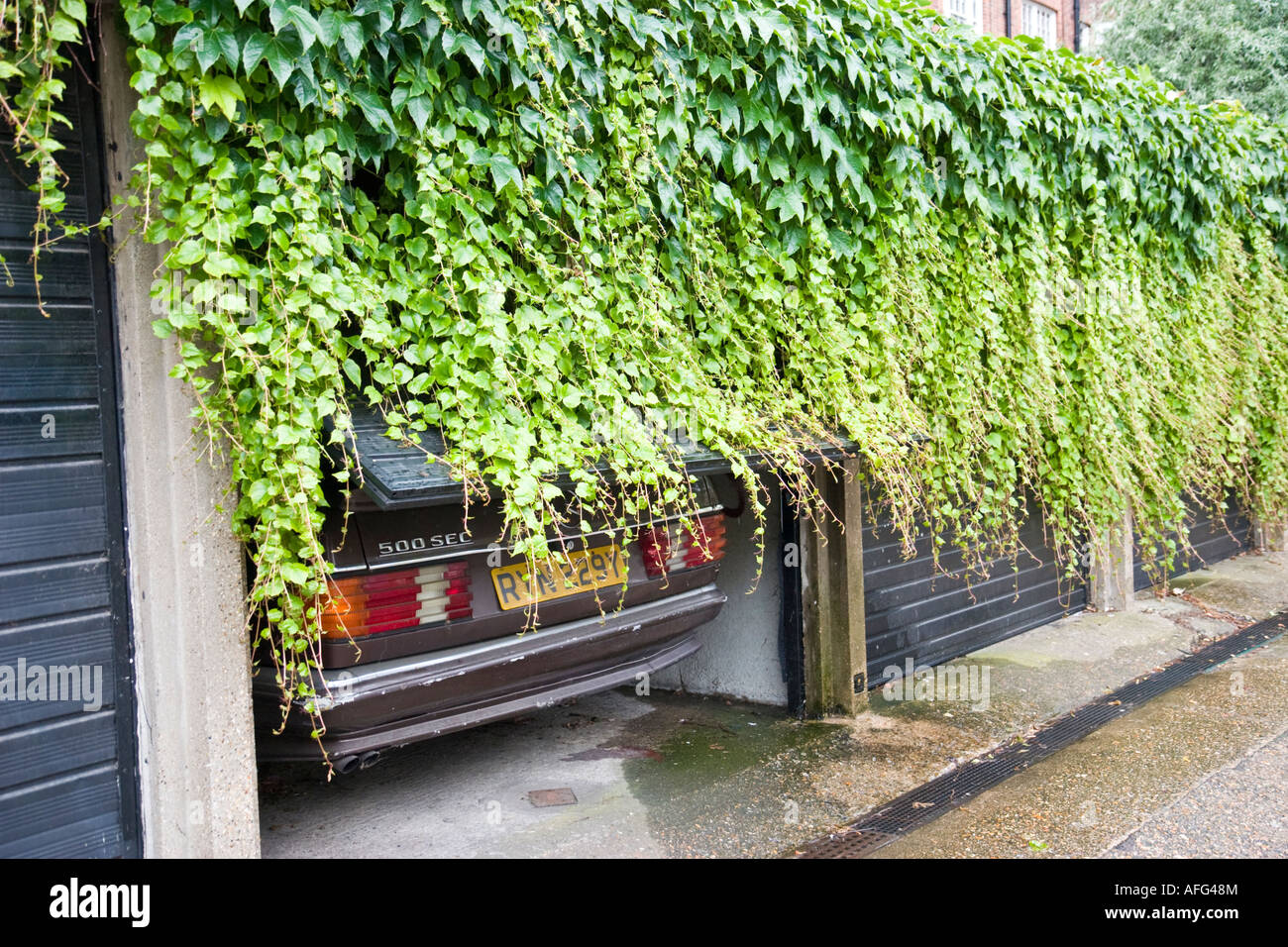 Englischen Auto geparkt auf halb offene Garage Efeu bedeckt Stockfotografie  - Alamy