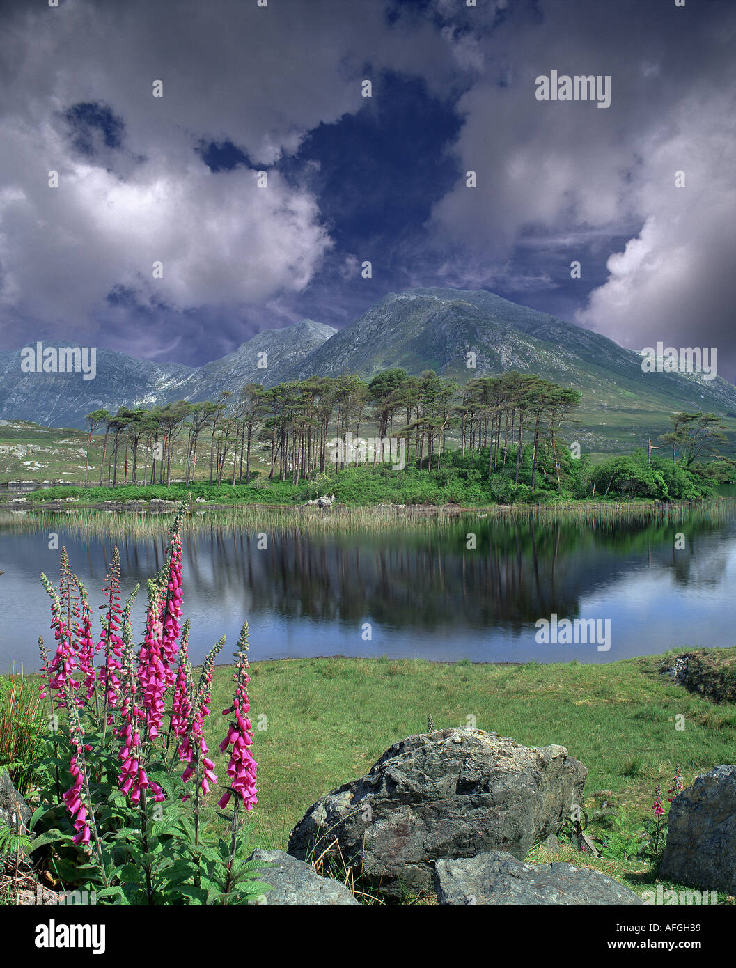 IE - CO. GALWAY: Hoch oben im Joyce Country Stockfoto