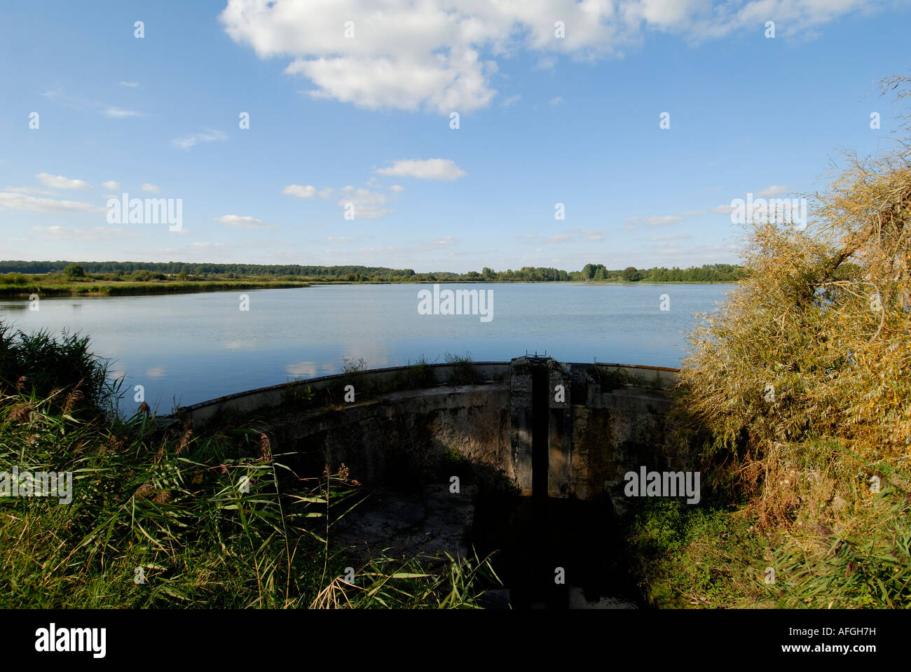 Läuft auf Fischzucht See, Saint-Michel-de-Brenne, Indre, Frankreich. Stockfoto