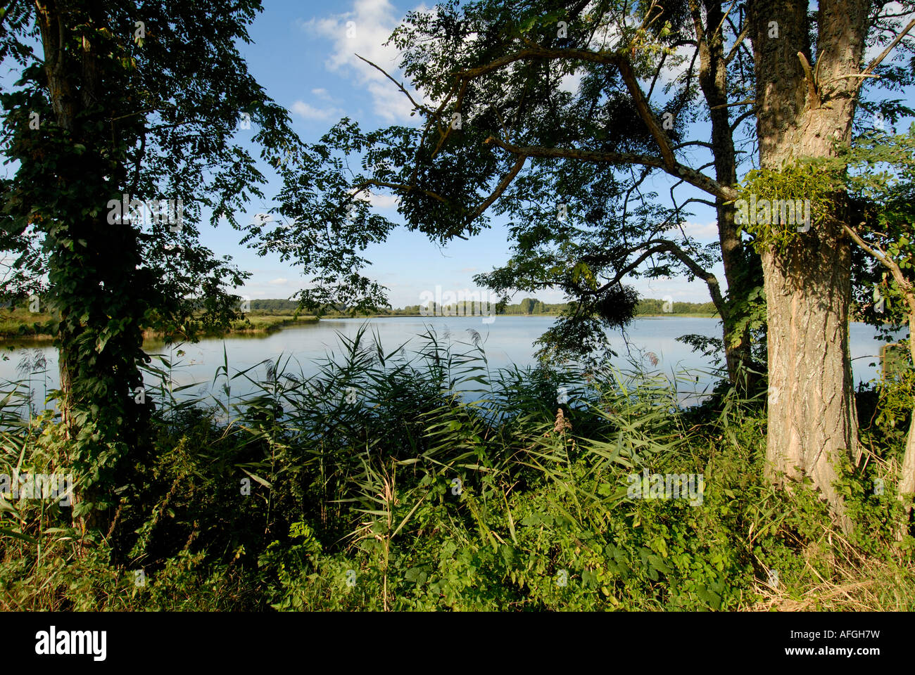 Fischzucht See, Saint-Michel-de-Brenne, Indre, Frankreich. Stockfoto