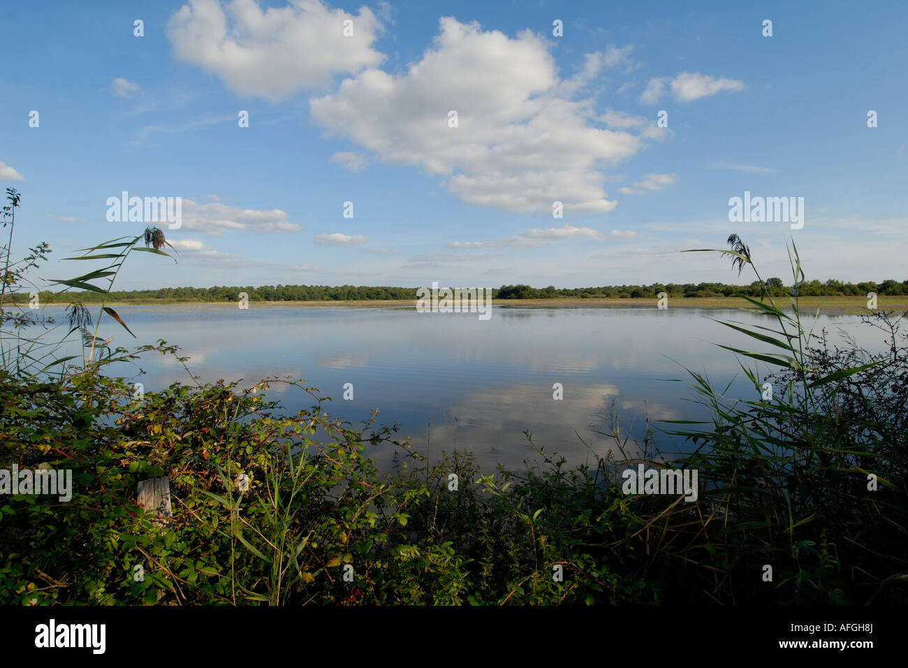 Etang (See) Montmelier, La Brenne, Indre, Frankreich. Stockfoto