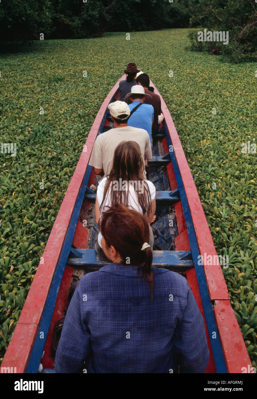 Bootsfahrt - Amazonasbecken, Beni, Bolivien Stockfoto