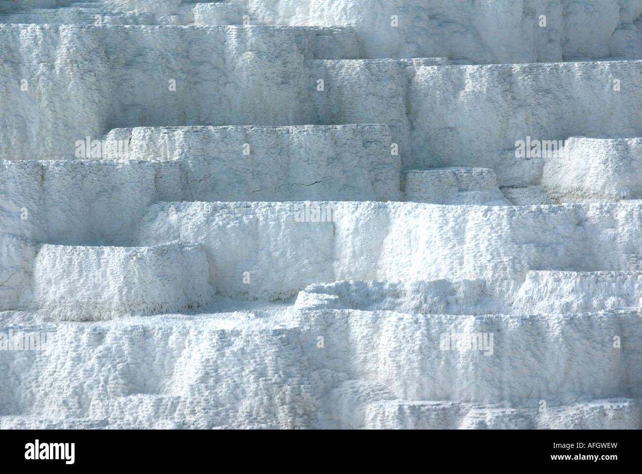 Mommoth Hot Springs Yellowstone National Park Terrassen aus kristallines Calciumcarbonat Stockfoto