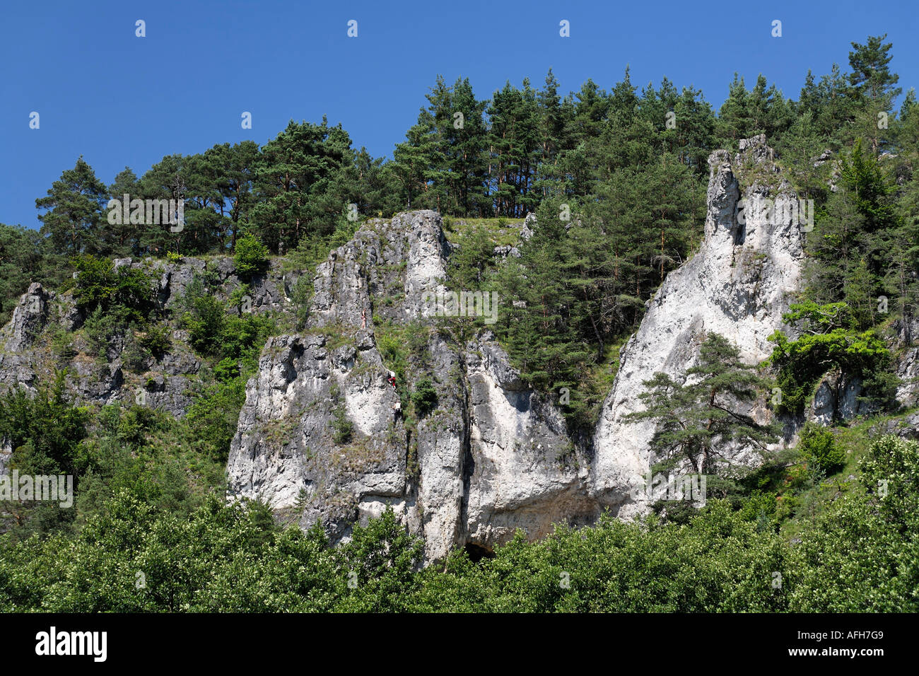 Kletterer am Kletterfelsen in der Nähe von Schönhofen Laber Tal Oberpfalz Bayern Deutschland Stockfoto