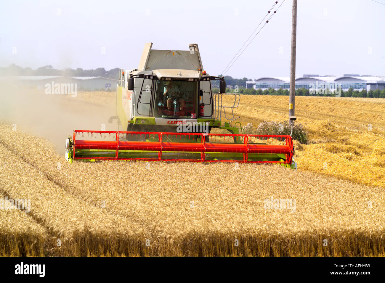 Beim Ernten von Weizen Claas Lexion 580 Terra Trac Mähdrescher Stockfoto