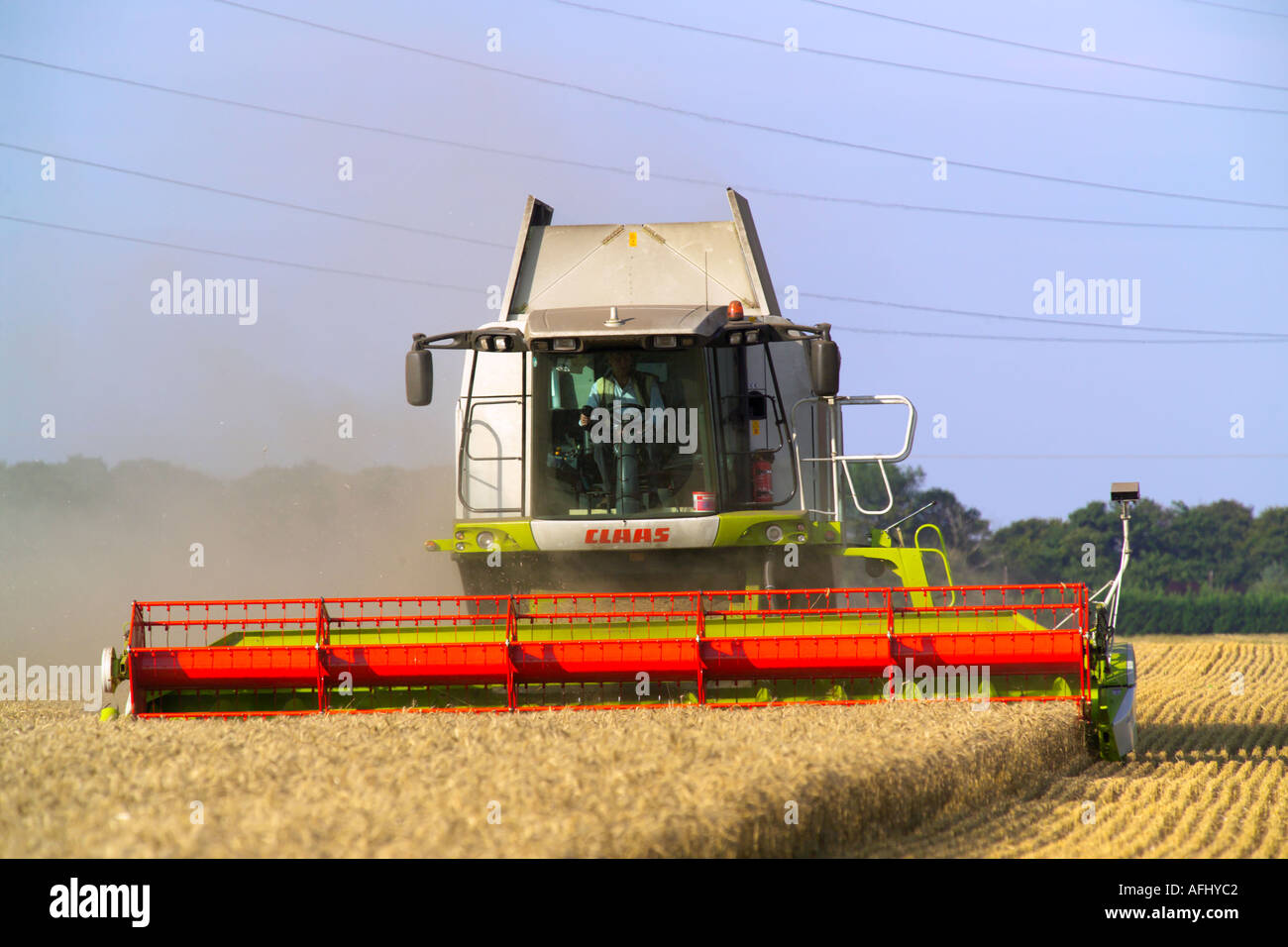 Beim Ernten von Weizen Claas Lexion 580 Terra Trac Mähdrescher Stockfoto
