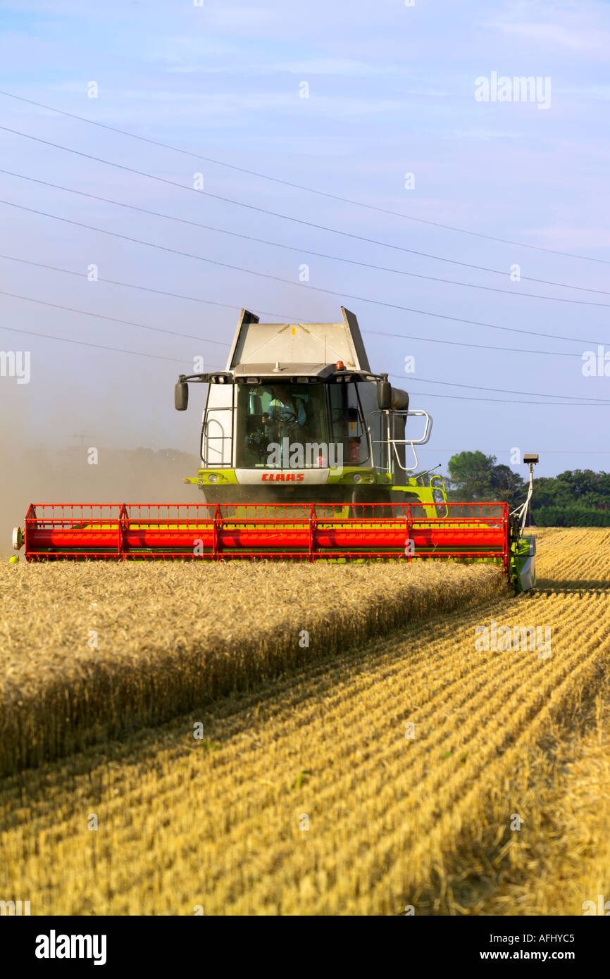 Beim Ernten von Weizen Claas Lexion 580 Terra Trac Mähdrescher Stockfoto