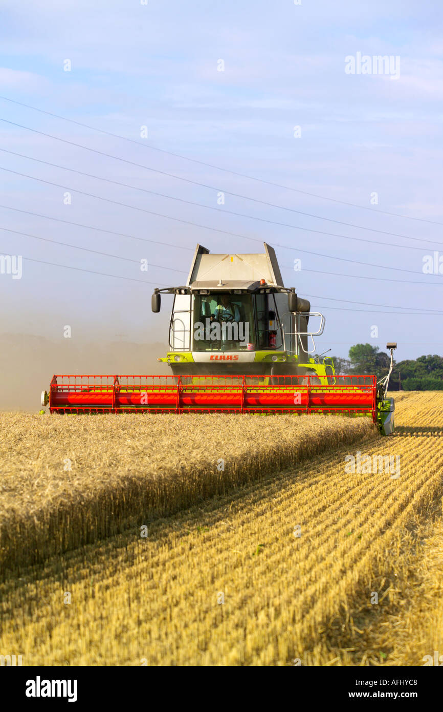 Beim Ernten von Weizen Claas Lexion 580 Terra Trac Mähdrescher Stockfoto