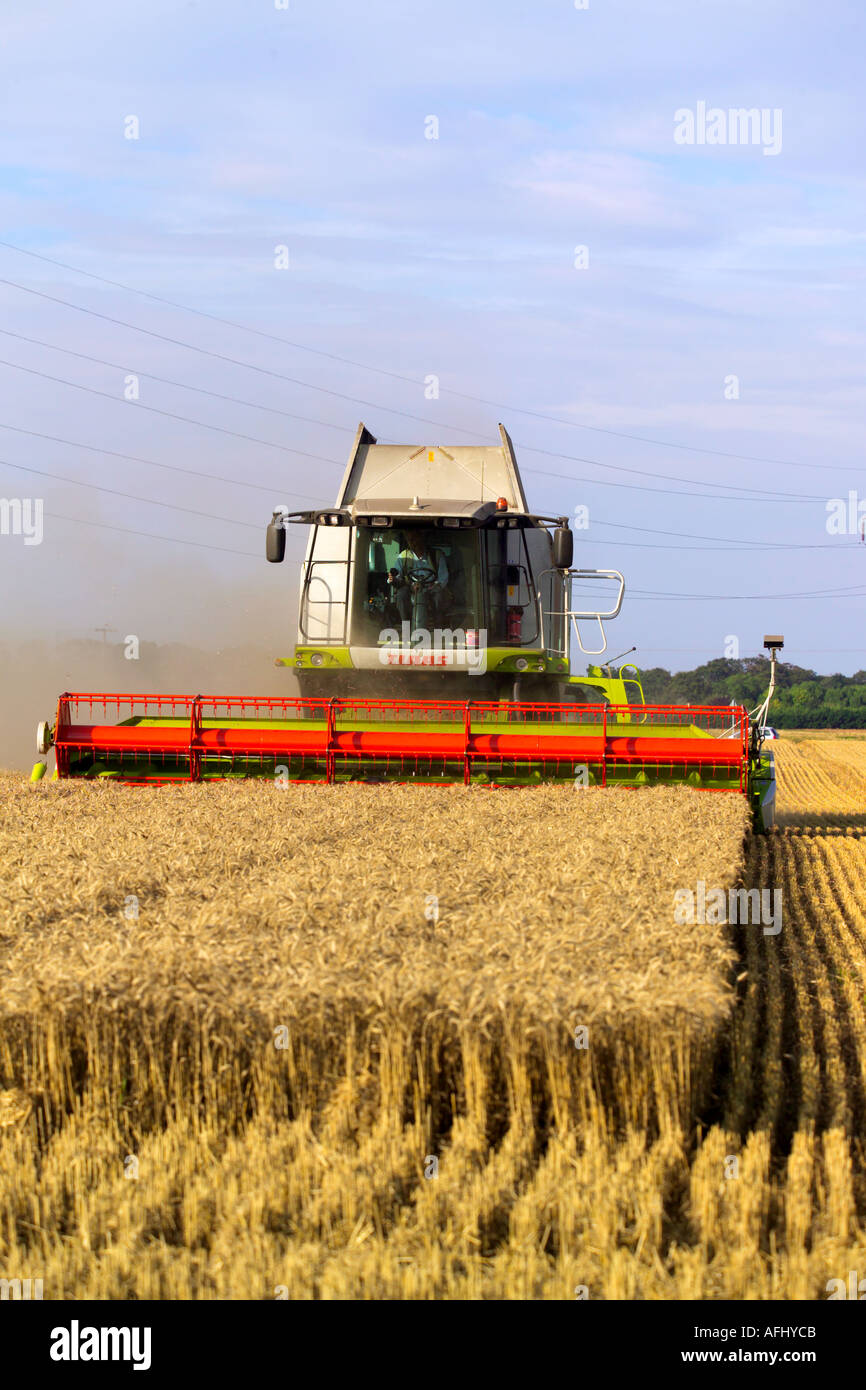 Beim Ernten von Weizen Claas Lexion 580 Terra Trac Mähdrescher Stockfoto