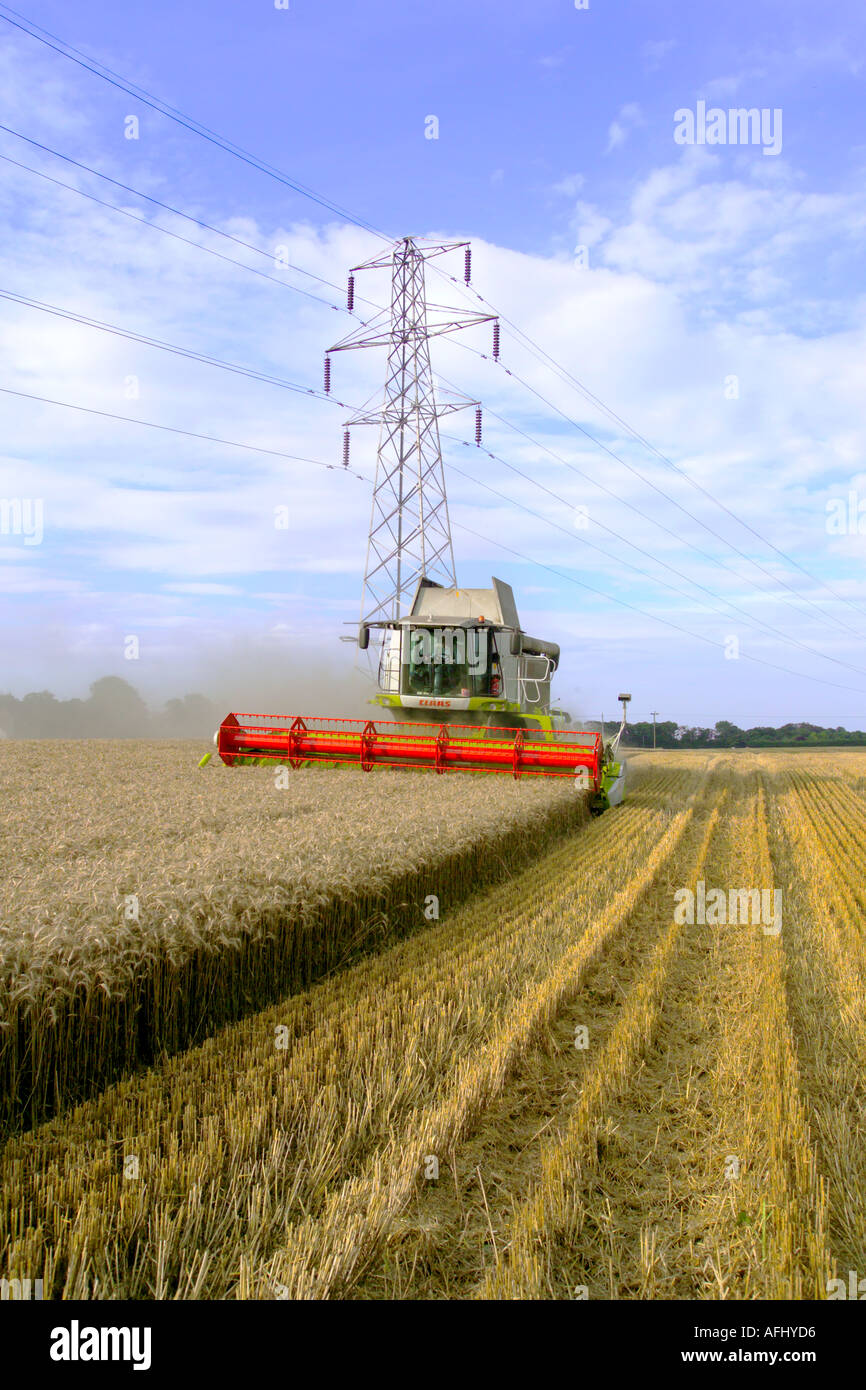 Beim Ernten von Weizen Claas Lexion 580 Terra Trac Mähdrescher Stockfoto