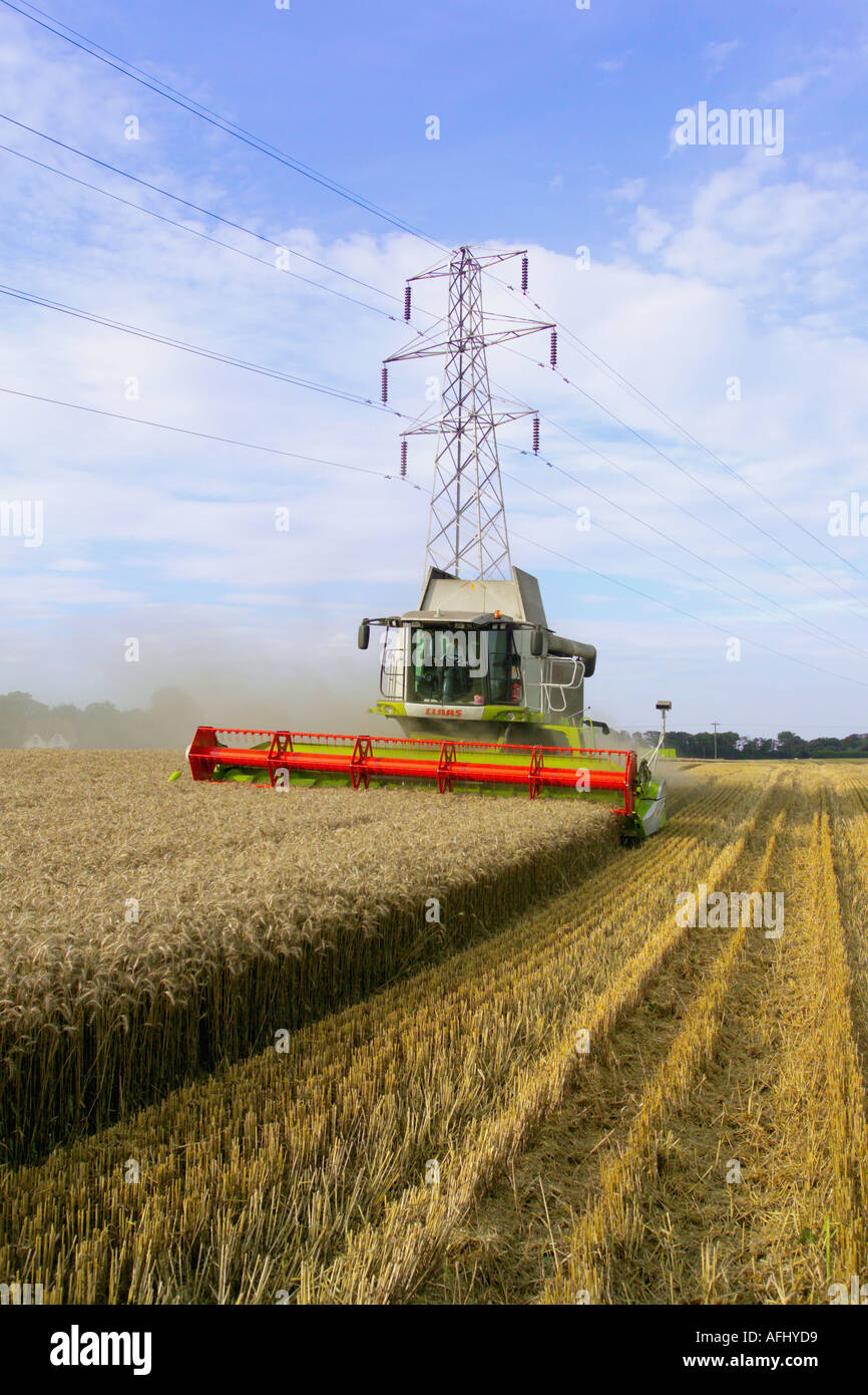 Beim Ernten von Weizen Claas Lexion 580 Terra Trac Mähdrescher Stockfoto