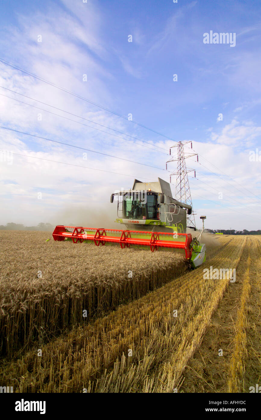 Beim Ernten von Weizen Claas Lexion 580 Terra Trac Mähdrescher Stockfoto