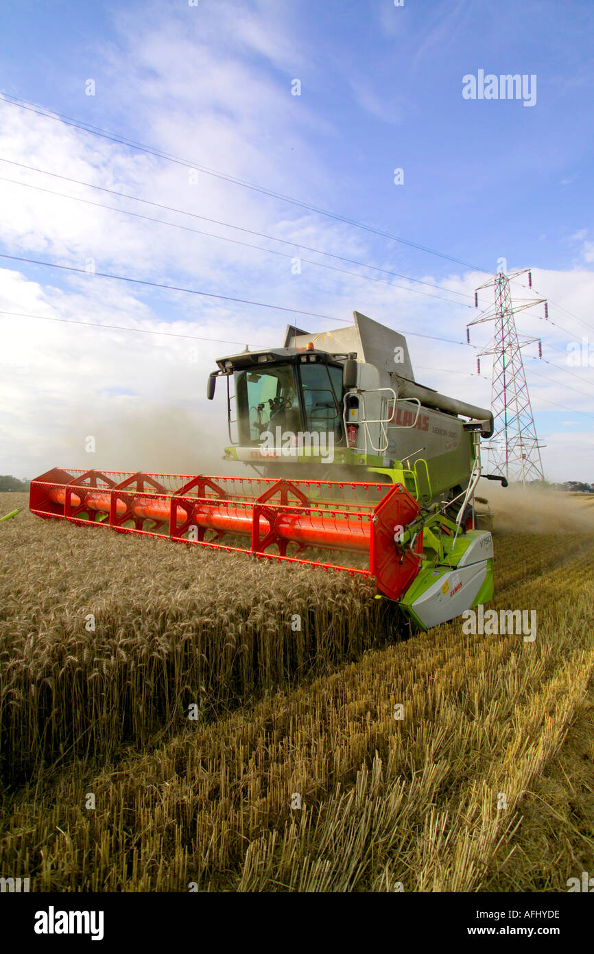 Beim Ernten von Weizen Claas Lexion 580 Terra Trac Mähdrescher Stockfoto