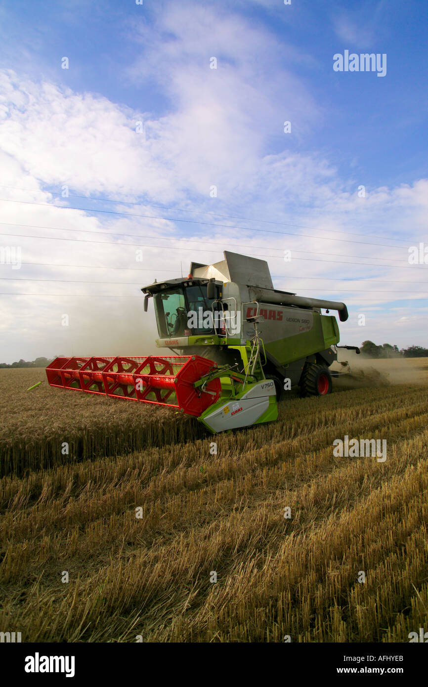 Beim Ernten von Weizen Claas Lexion 580 Terra Trac Mähdrescher Stockfoto