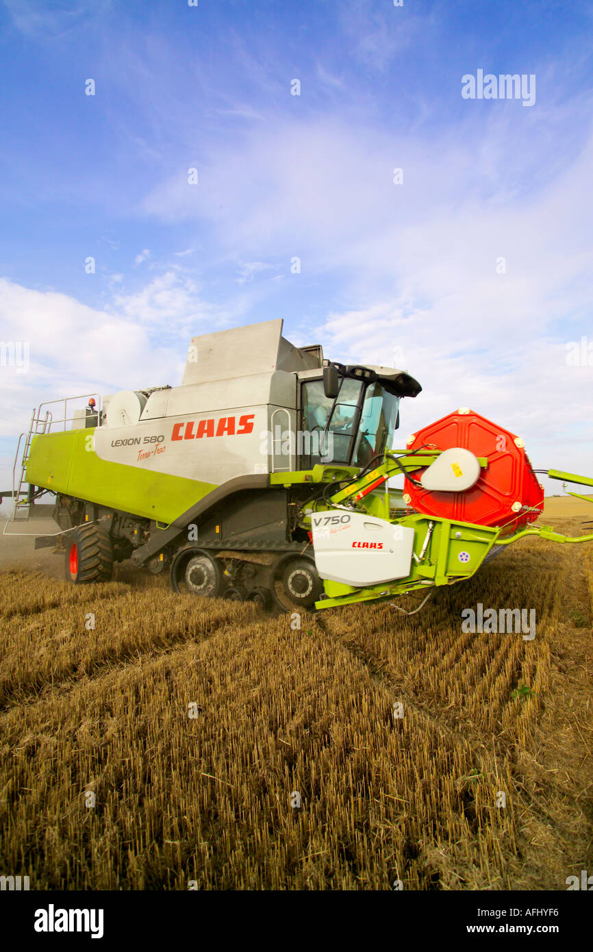 Beim Ernten von Weizen Claas Lexion 580 Terra Trac Mähdrescher Stockfoto