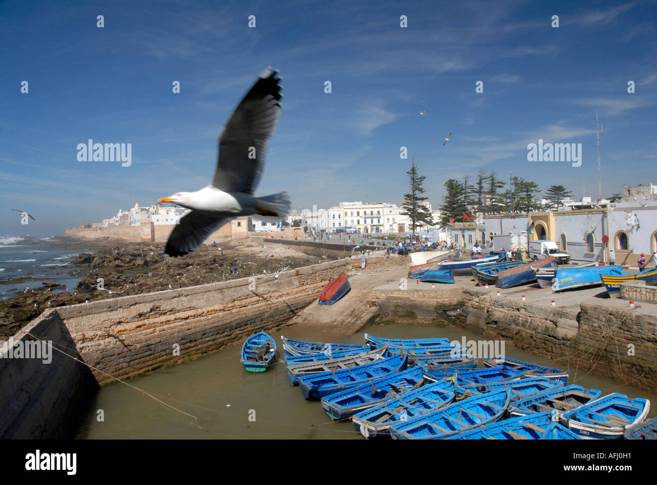 Blick auf kleinen äußeren Hafen und Stadt von Essaouira Marokko Nordafrika Stockfoto