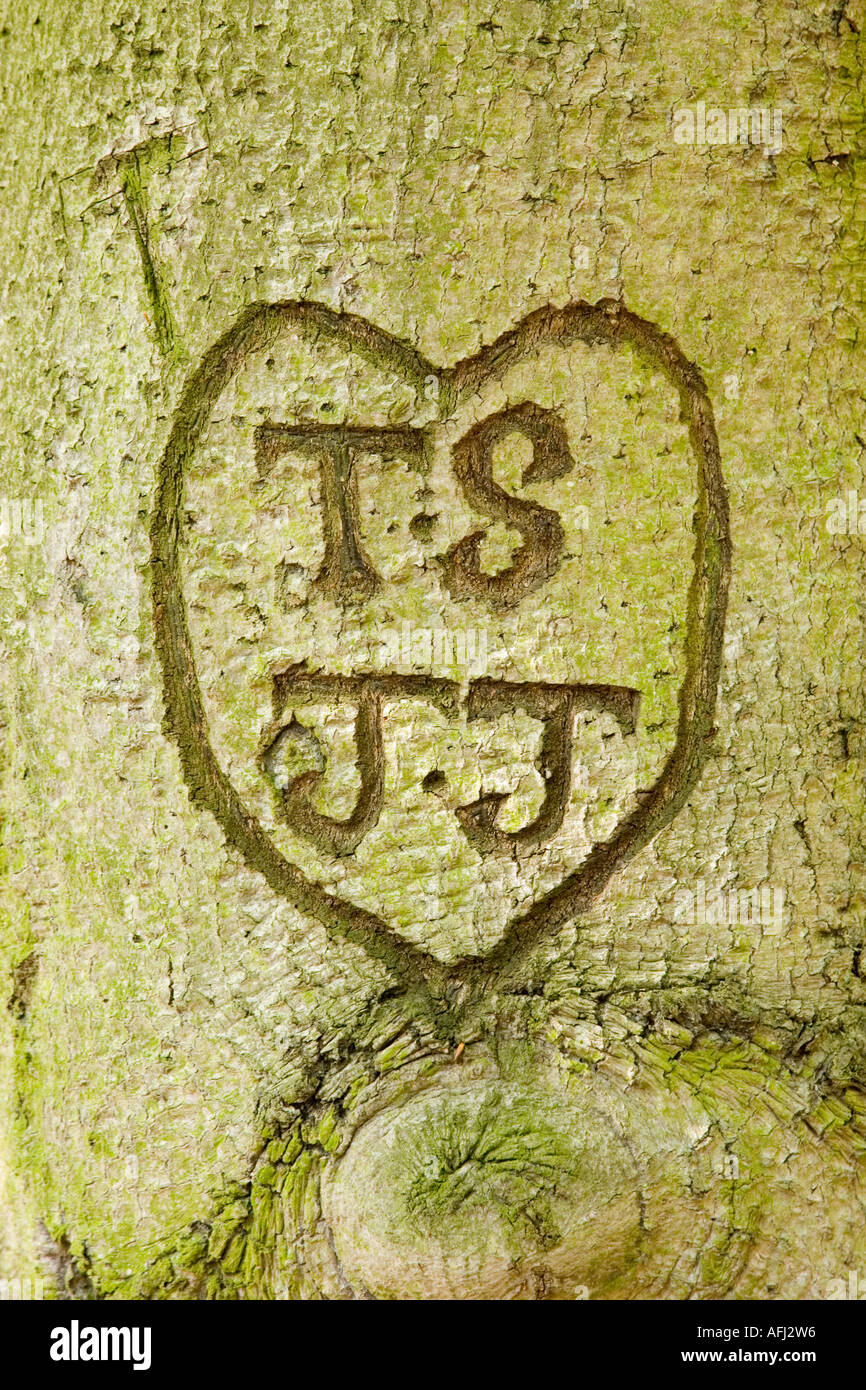 Graffiti in Baumrinde gehauen Stockfoto