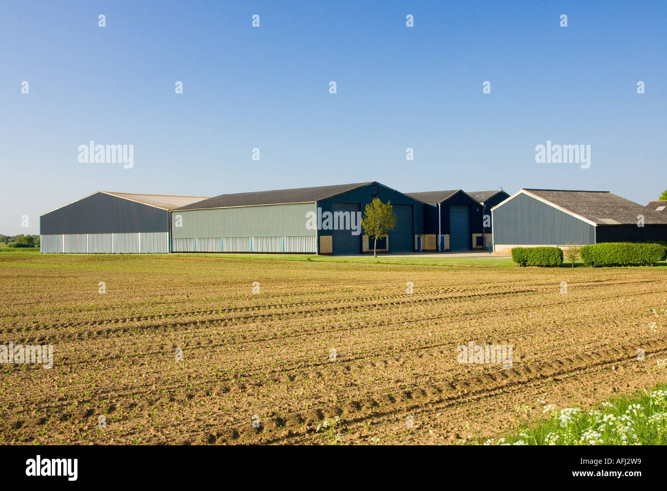 Stahl landwirtschaftliche Scheune Gebäude Stockfoto