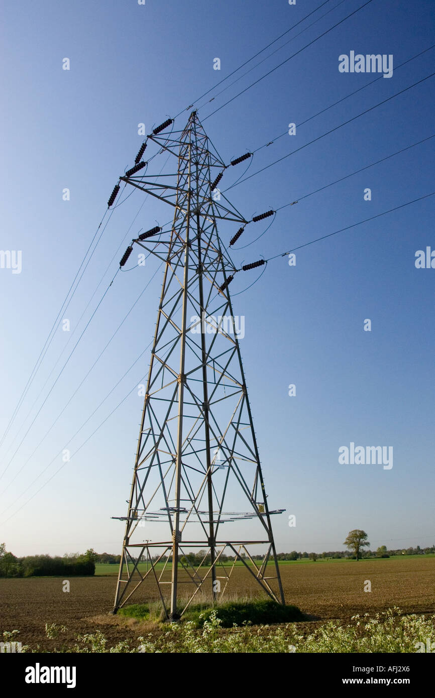 Masten und Stromleitungen Stockfoto