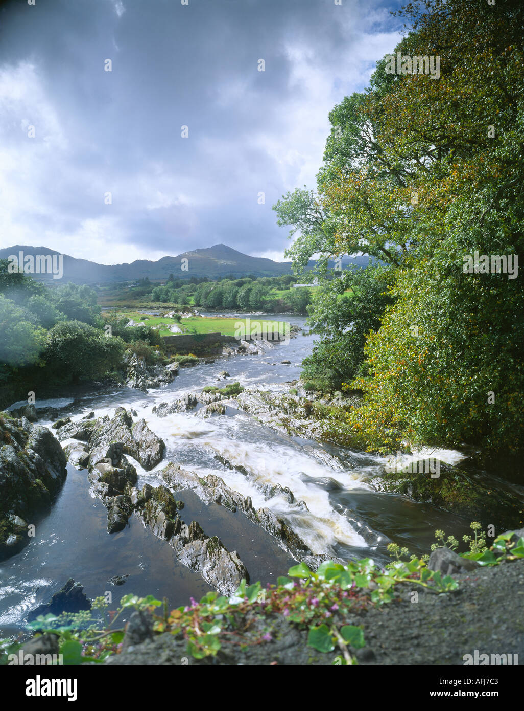 schnell bewegenden Fluss Rauschen durch über Felsblöcke in Irlands Landschaft, Schönheit in der Natur, Stockfoto