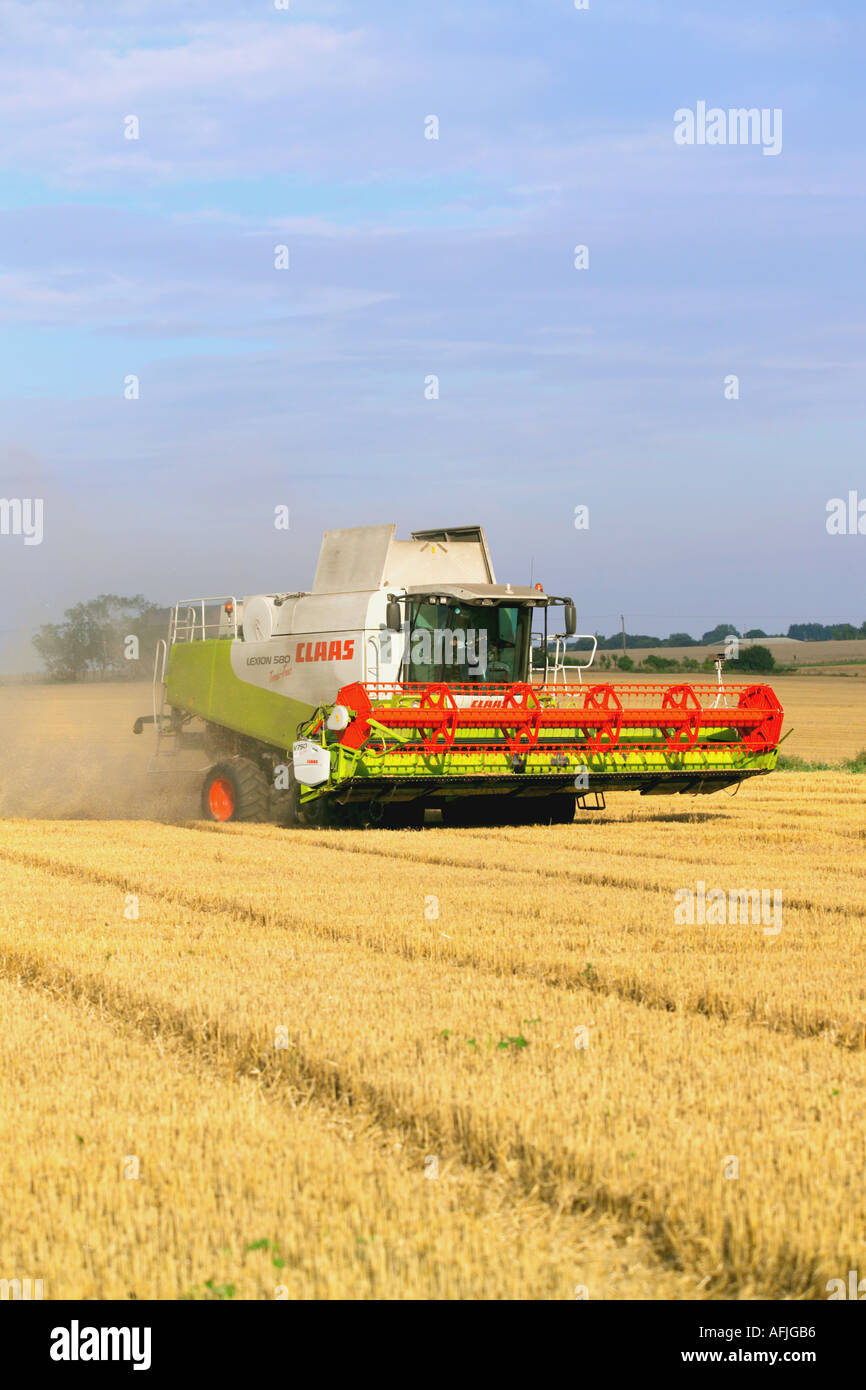 Beim Ernten von Weizen Claas Lexion 580 Terra Trac Mähdrescher Stockfoto