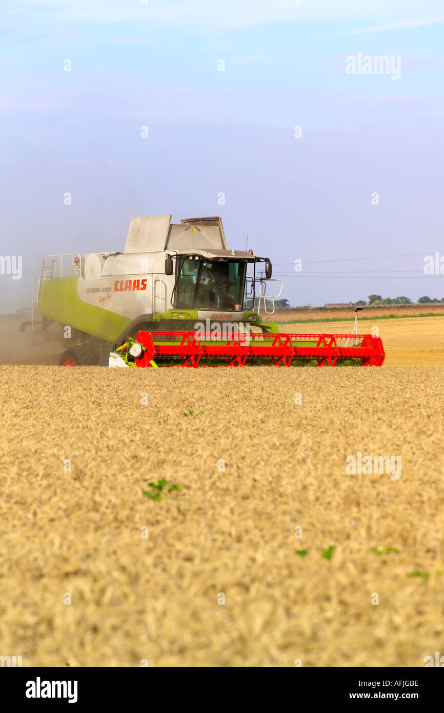 Beim Ernten von Weizen Claas Lexion 580 Terra Trac Mähdrescher Stockfoto