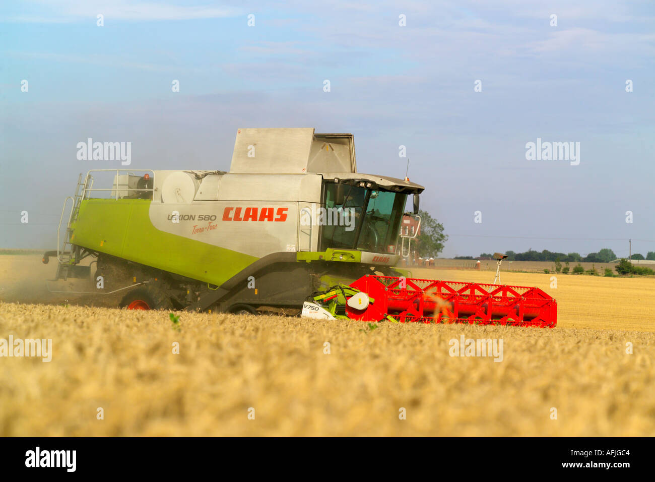 Beim Ernten von Weizen Claas Lexion 580 Terra Trac Mähdrescher Stockfoto