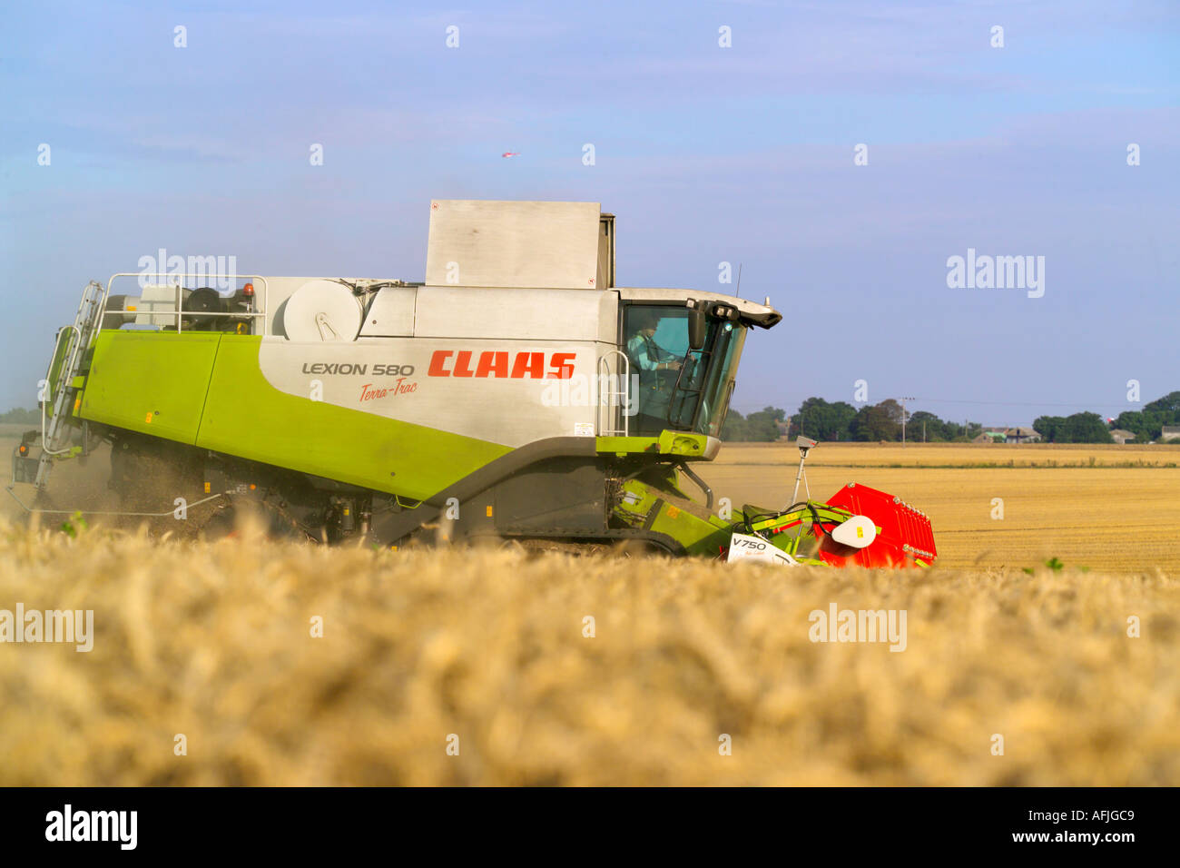 Beim Ernten von Weizen Claas Lexion 580 Terra Trac Mähdrescher Stockfoto