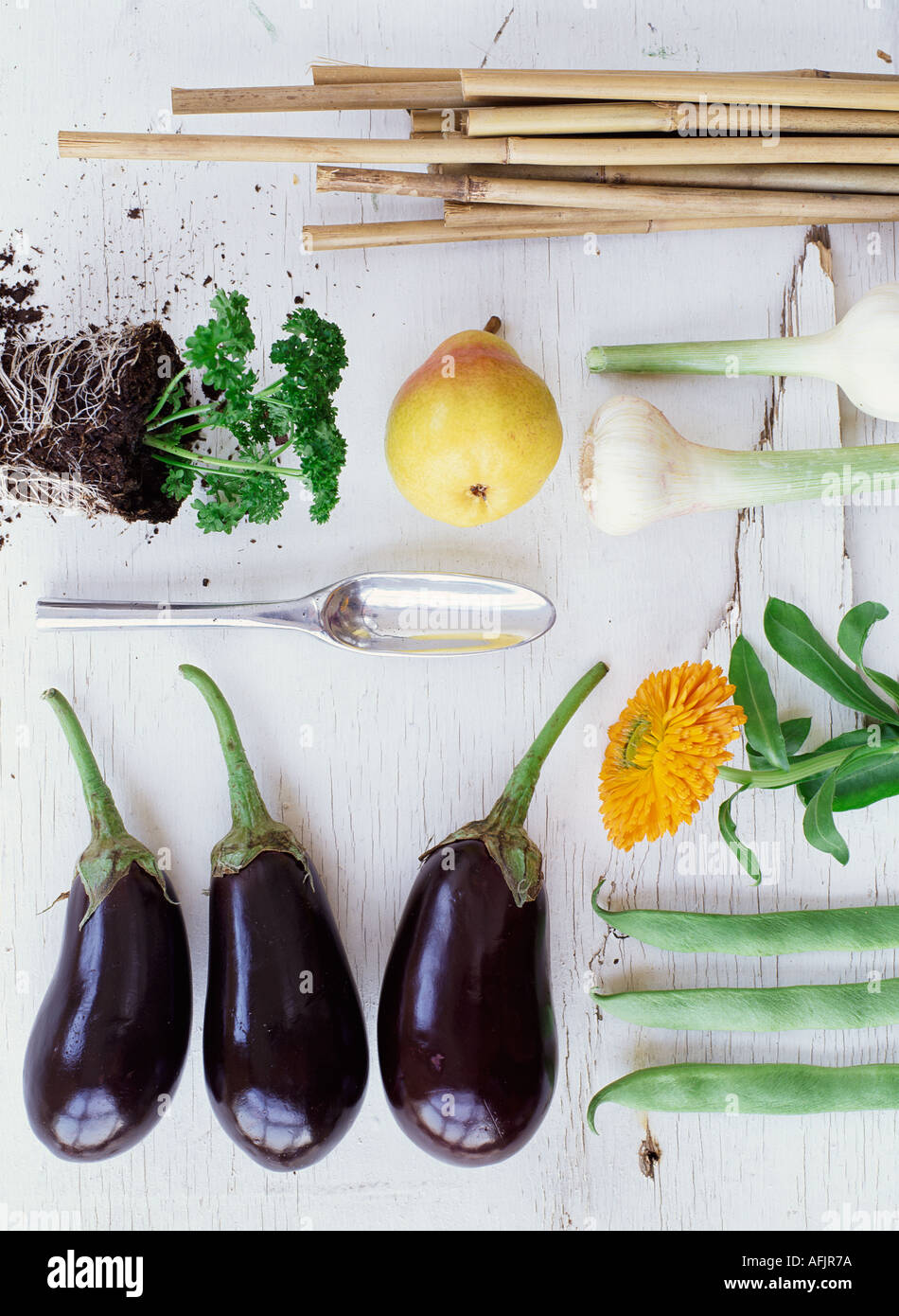 Bio-Gemüse, Kräuter, Früchte und Blumen Stockfoto