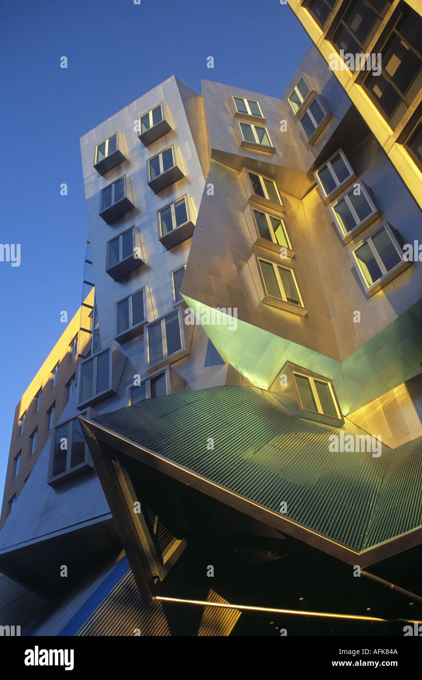 Frank Gehry entwarf Stata Gebäude am MIT in Cambridge, Massachusetts Stockfoto