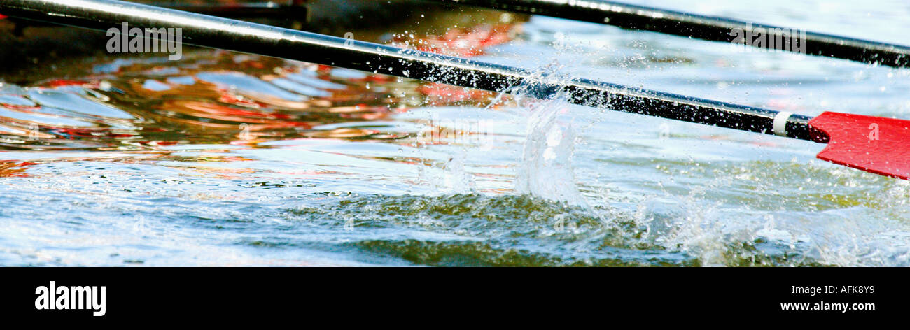 Ruder von einer Besatzung Scull in Milwaukee River Challenge Milwaukee Wisconsin USA Stockfoto