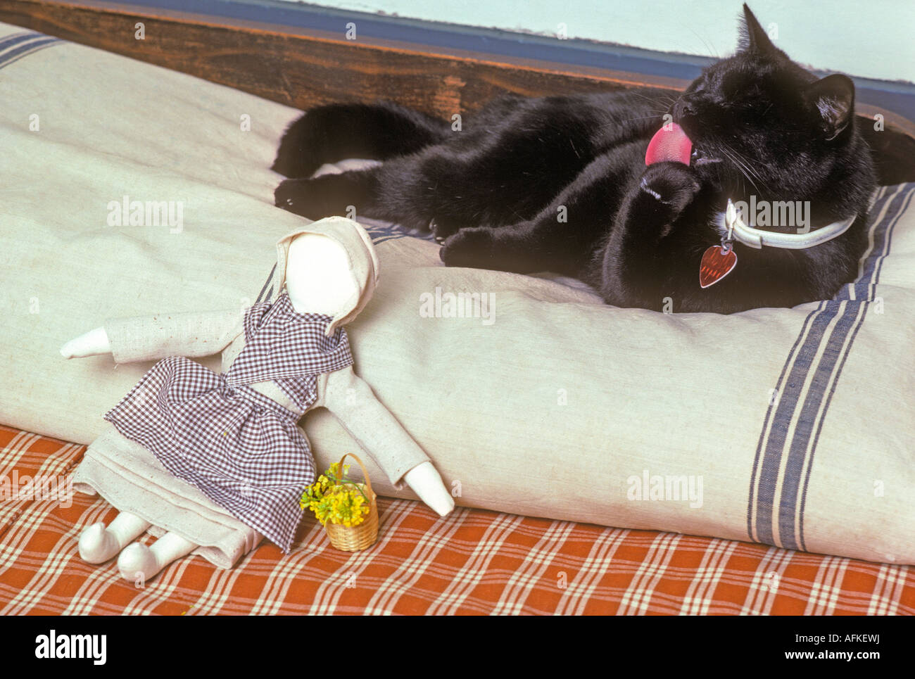 Schwarze Katze waschen Gesicht auf Bett alten altmodischen amische Puppe ohne Gesicht Stockfoto