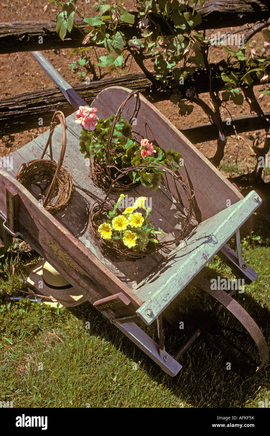 alten altmodischen Rad Barrow Blumen Stockfoto
