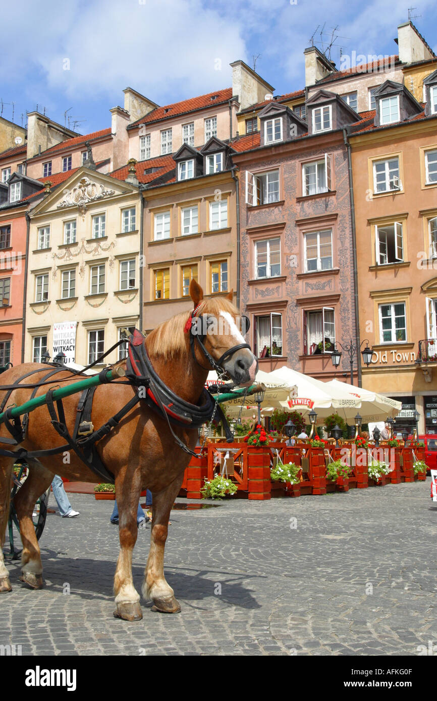 Altstadt von Warschau Polen quadratische Gebäude und Architektur und Pferd Stockfoto