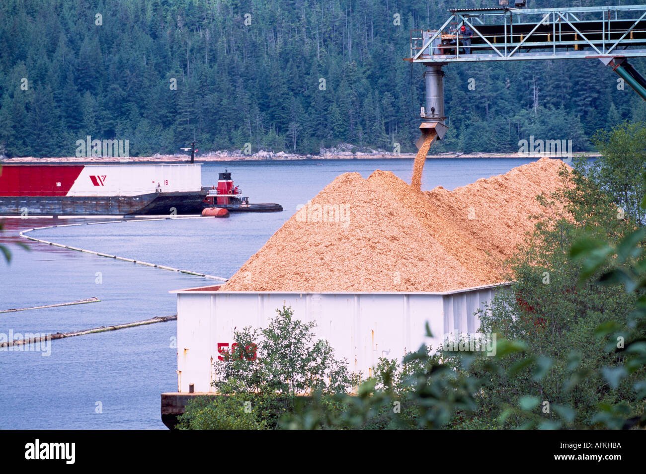 Laden von Holz-Chips auf einem Lastkahn für den Versand im Beaver Cove auf Vancouver Island in British Columbia Kanada Stockfoto