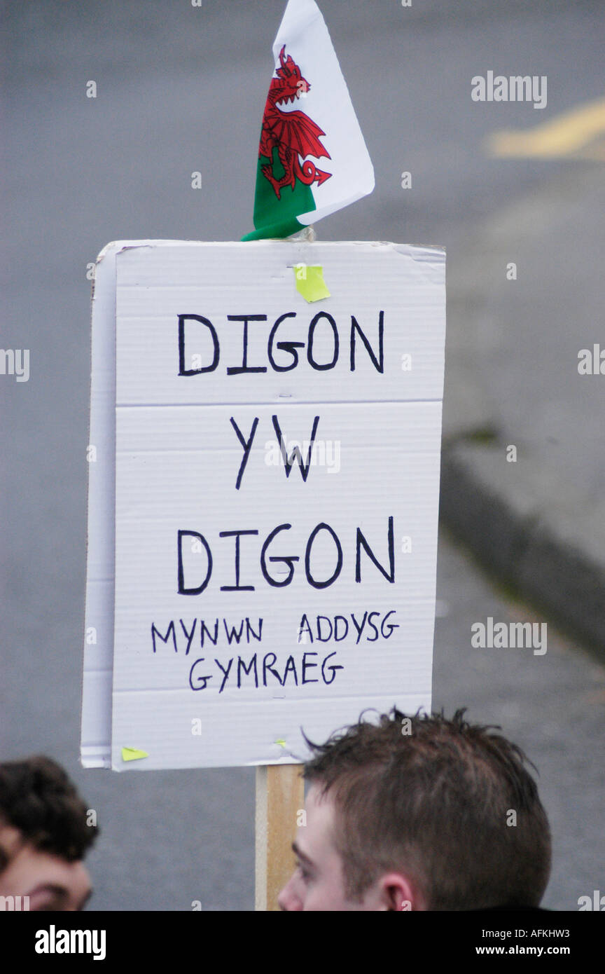 walisische Sprache Bildung Protest Aberystwyth Ceredigion Wales "genug ist genug - wir fordern eine walisische Ausbildung" Stockfoto