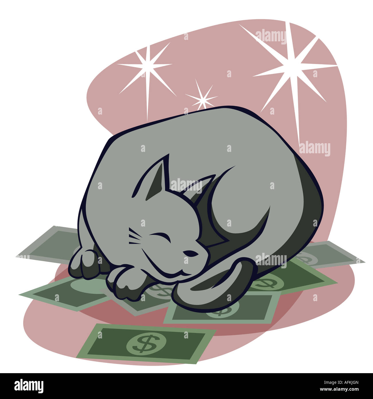 Nahaufnahme einer Katze schlafen auf Dollar-Scheine Stockfoto